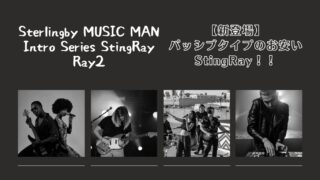 Sterling-by-MUSIC-MAN-Intro-